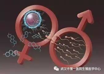 试管婴儿