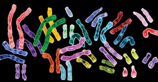 代孕试管婴儿医院