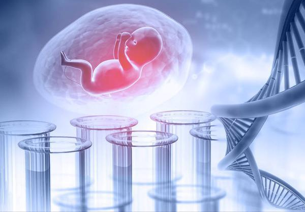 代孕包生龙凤胎